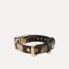 Dog Collar Dog Collar